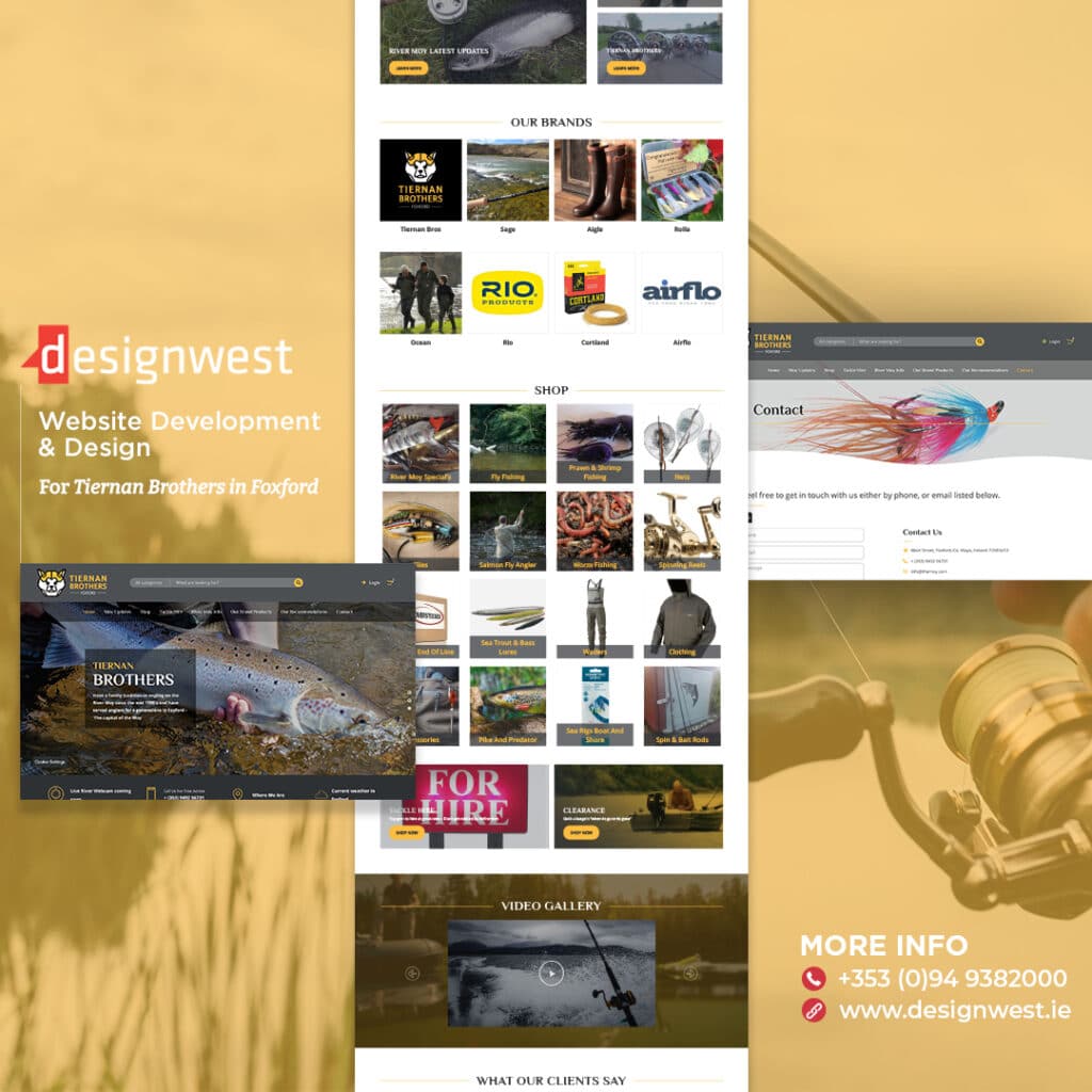 Tiernan Brothers Website Design Instagram