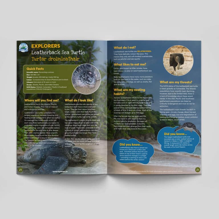 Explorers Turtle Book 1