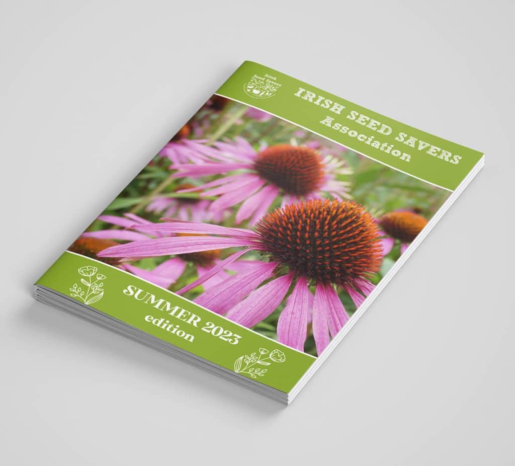 Irish Seed Savers Summer Newsletter Leaflet Design Desiognwest 2023 1