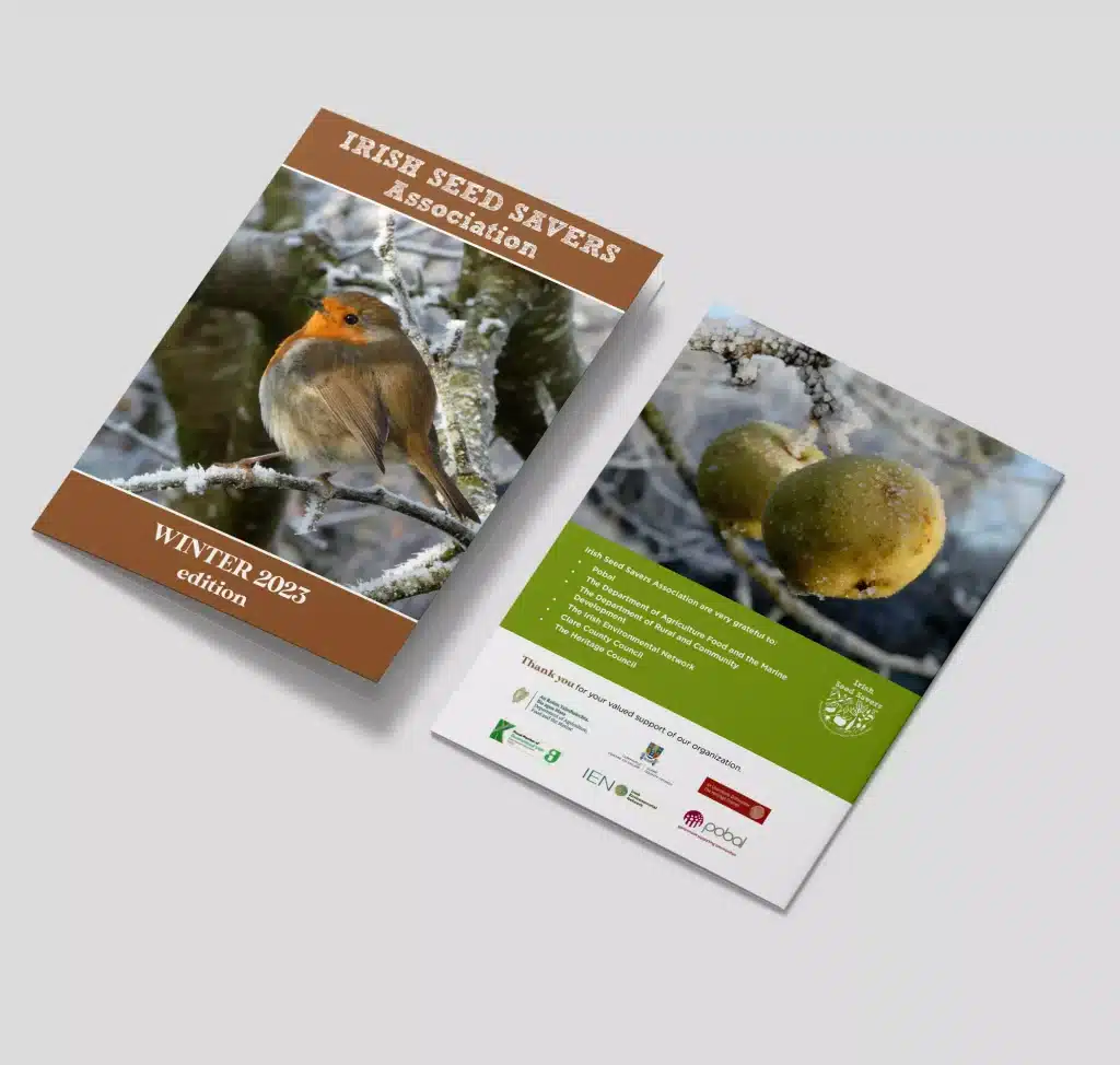 designwest brochure design leaflet design clare ireland issa winter newsletter a5 2024 mockup 1 667134d04b2d4