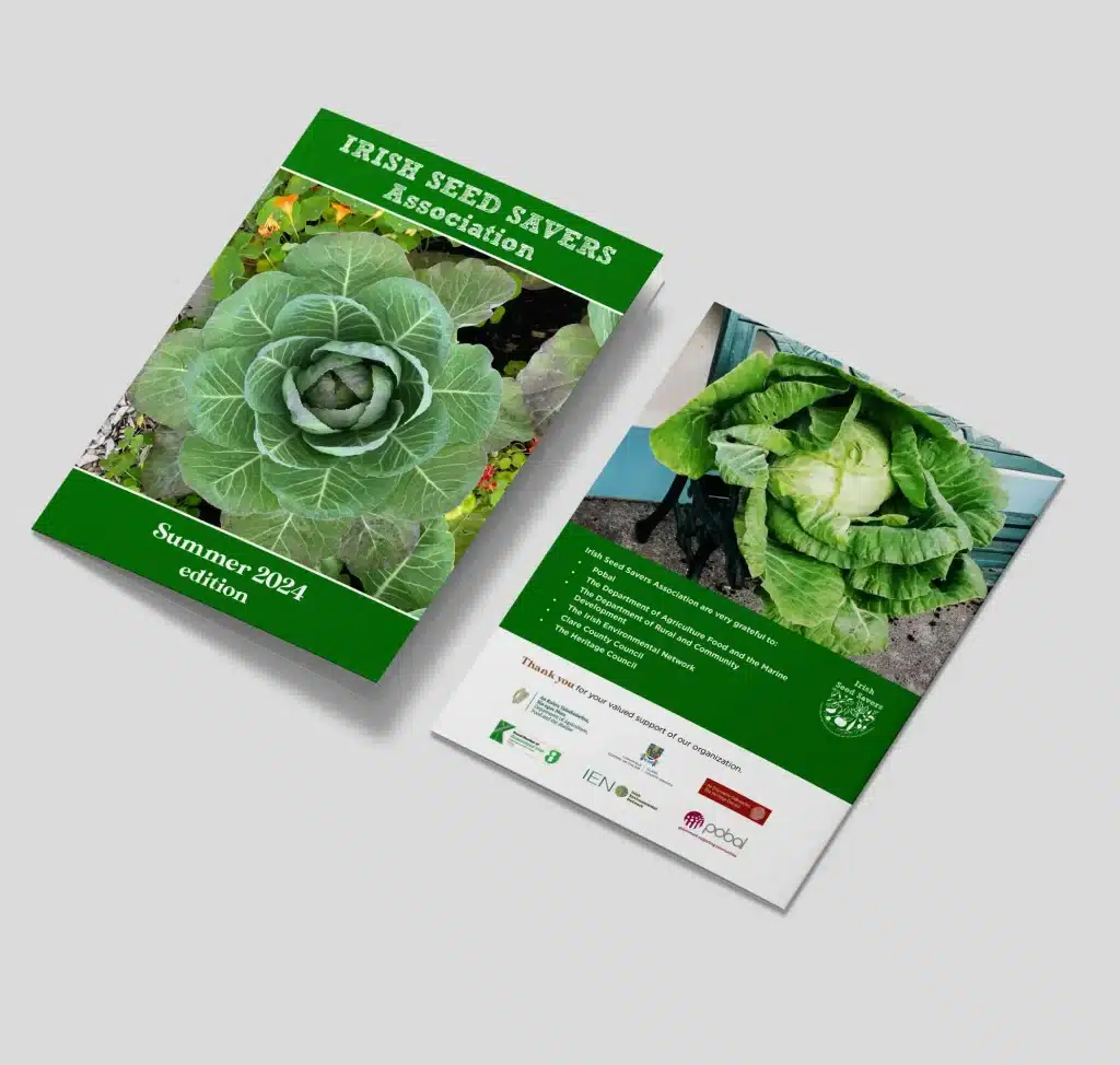 Designwest Newsletter design ISSA Summer Newsletter A5 2024 mockup 1