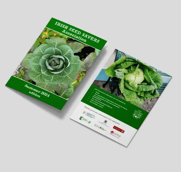 Designwest Newsletter design ISSA Summer Newsletter A5 2024 mockup 1