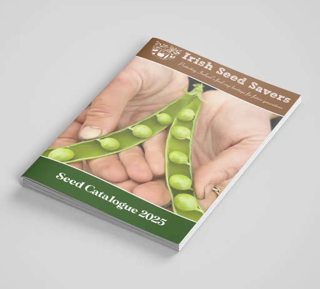 Designwest Catalogue design Irish Seed Catalogue A5 2025 1