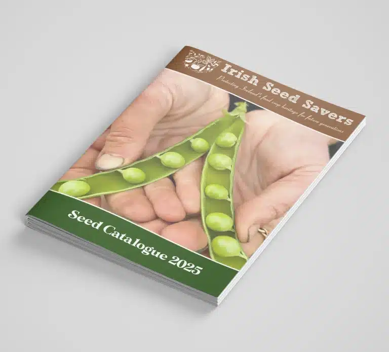 Designwest Catalogue design Irish Seed Catalogue A5 2025 1