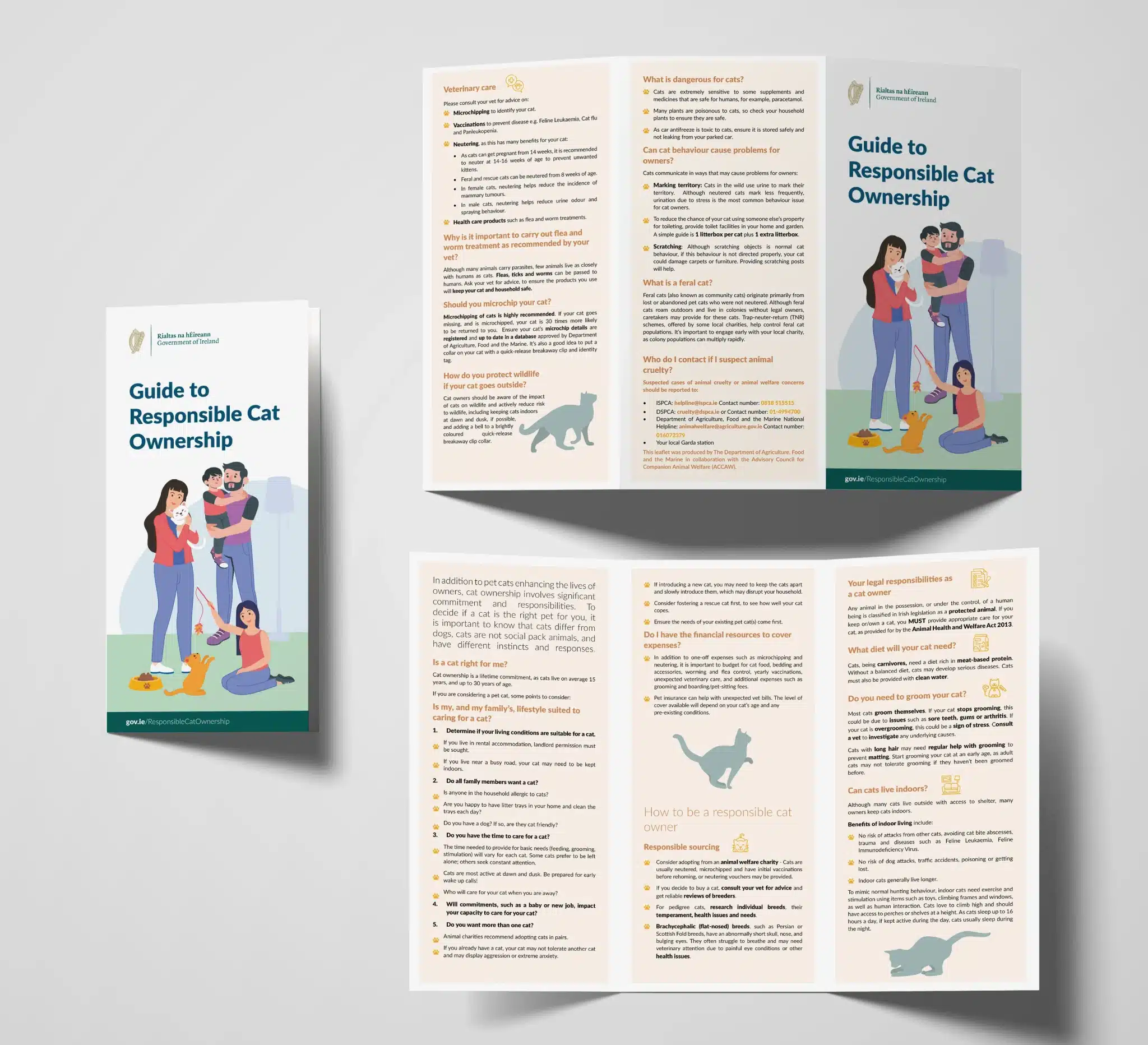 Government of Ireland Leaflet Design – A Guide to Responsible Cat Ownership