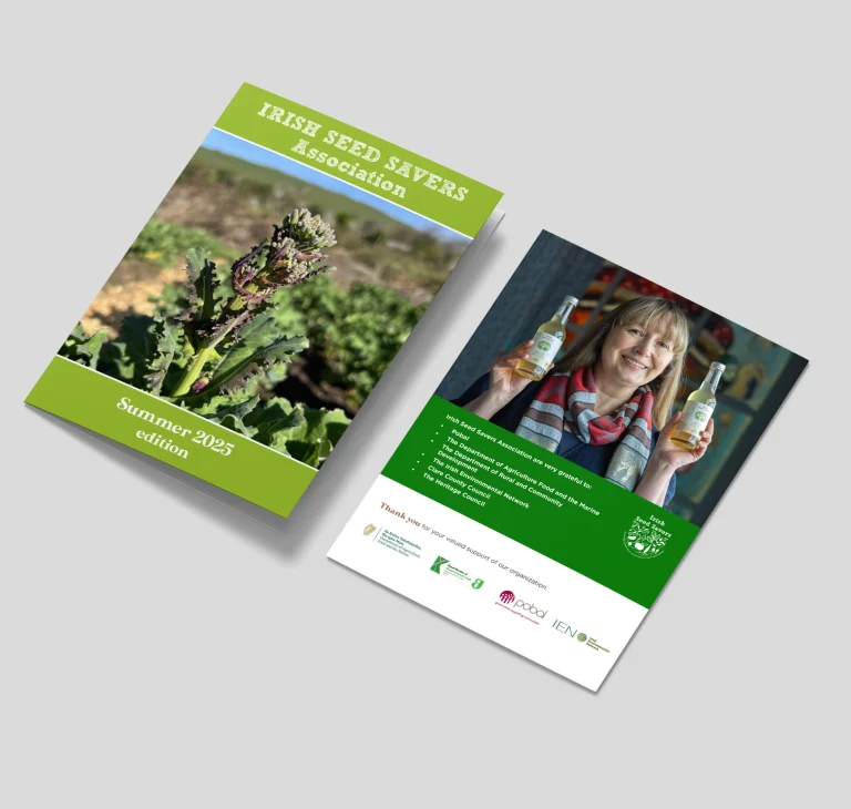 Designwest Ireland Newsletter design Newsletters designers ISSA Summer Newsletter A5 2025 mockup 1