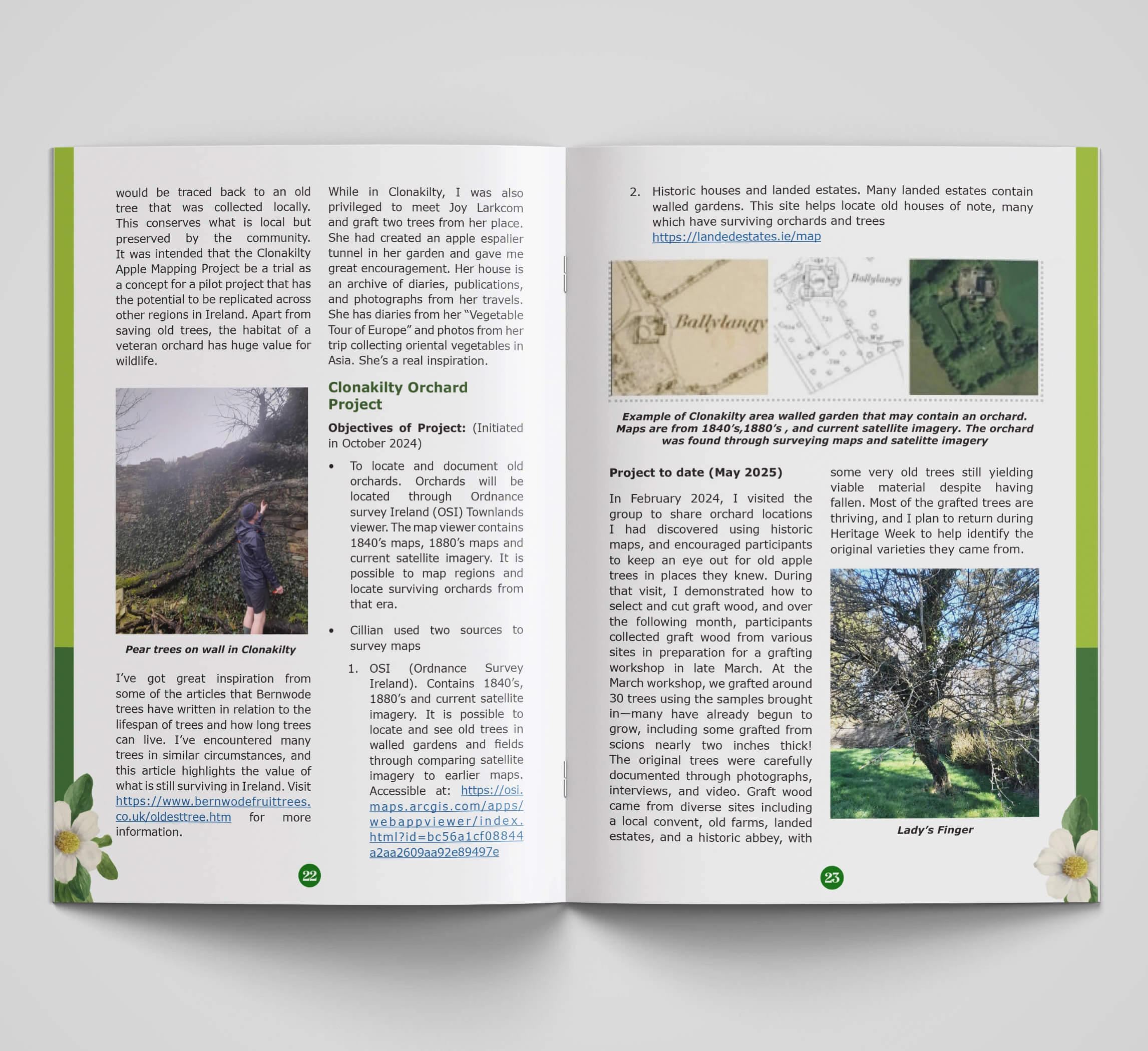 Designwest Ireland Newsletter design Newsletters designers ISSA Summer Newsletter A5 2025 mockup 6